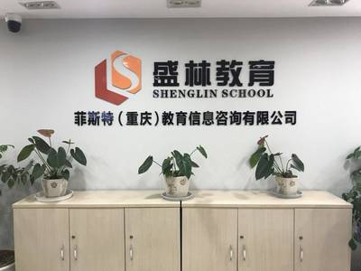 盛林教育暑假班 点燃智慧火花，成就未来之星